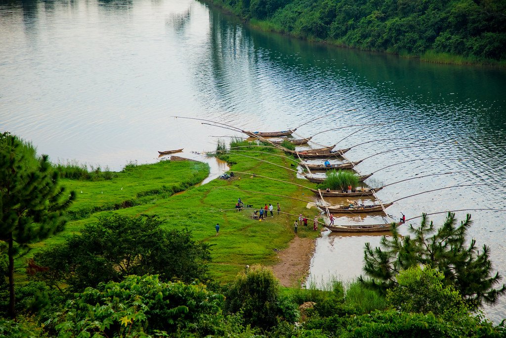 Traditional fishing boats moored on the Lake Kivu shoreline
